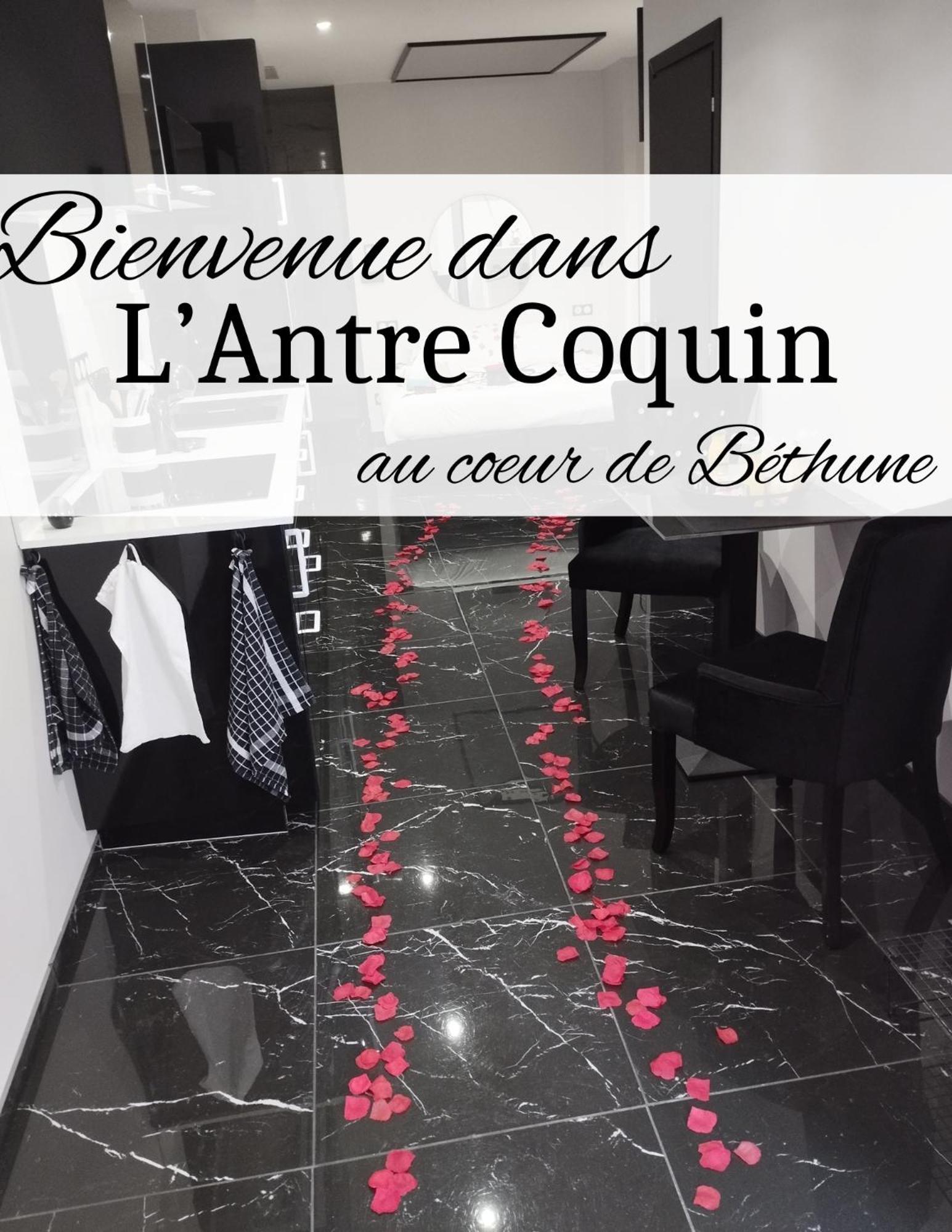 Apartament L'Antre Coquin Béthune Zewnętrze zdjęcie